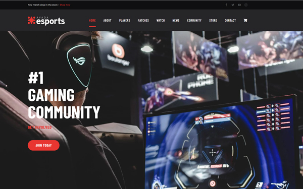 Esports Website
